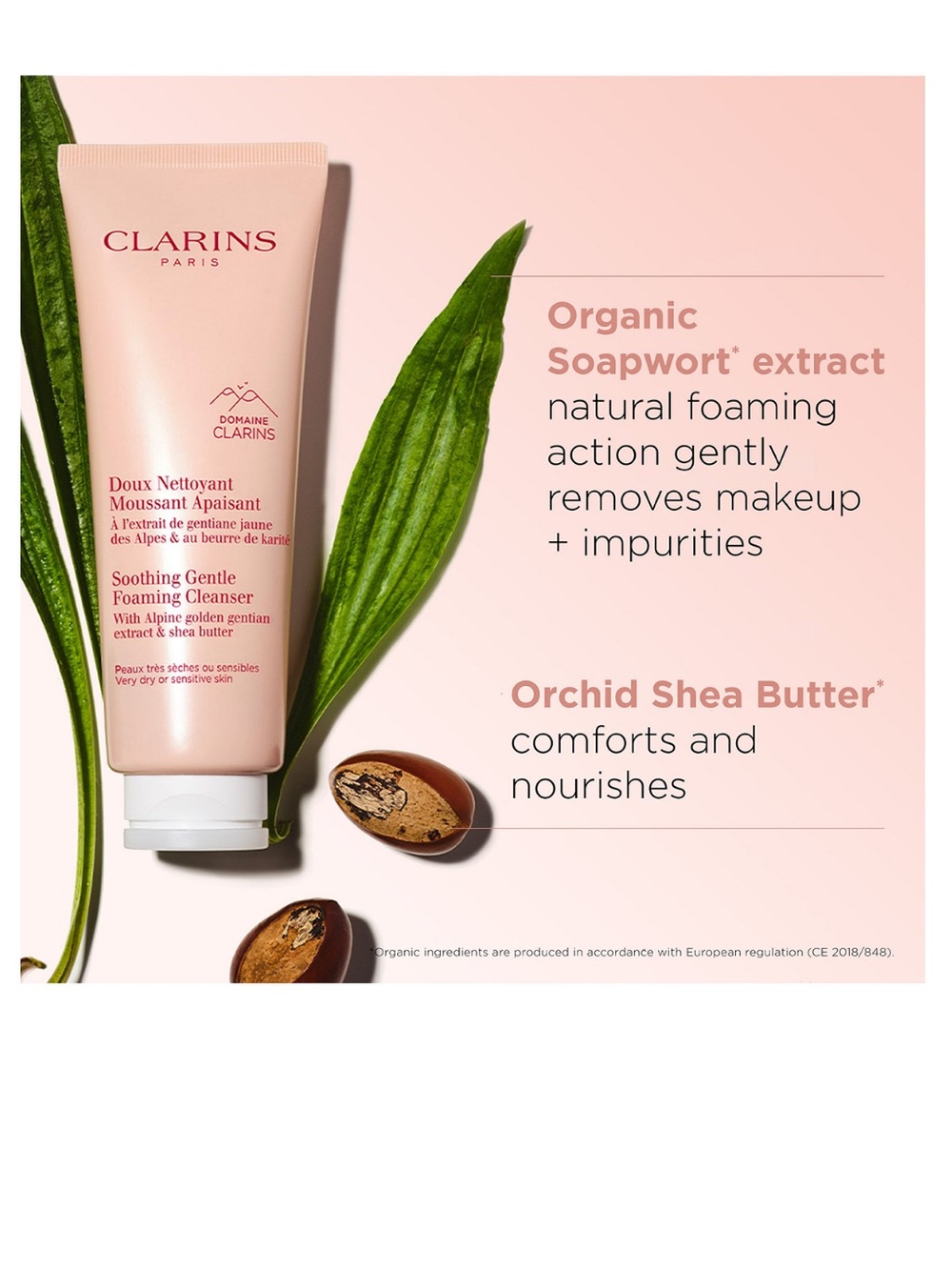 NEW Clarins Soothing Gentle Foaming Cleanser
